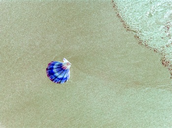 N 038C